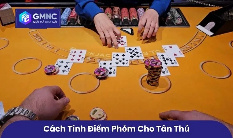 Cách Tính Toán Trong Đánh Phỏm Giữ Cửa Và Hạ Điểm Chuẩn Đủ 3 Cách tính điểm Phỏm cho tân thủ